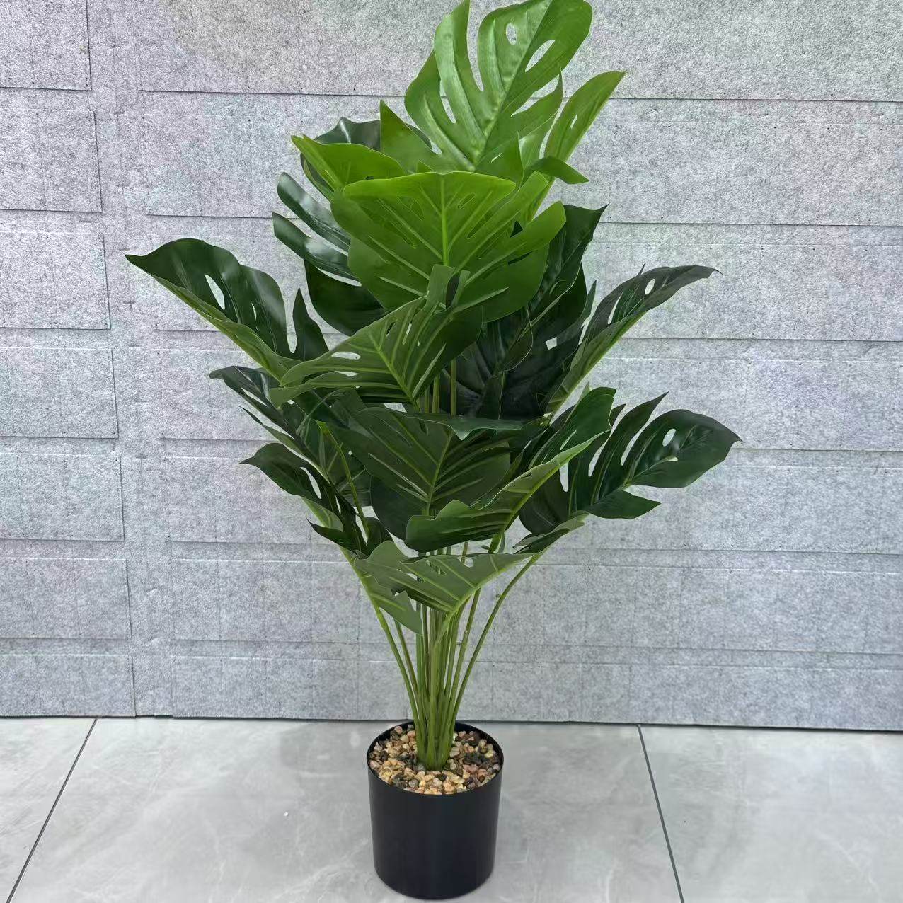 Bonsai (21)